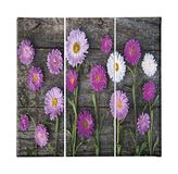 Homemania Wandfoto, 3-delig, natuur, voor woonkamer, slaapkamer, meerkleurig, 69 x 3 x 50 cm, HM203PKNV-10, polyester, hout