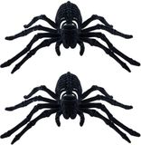 Chaks Spin Skeletten 22 cm - 2x - Zwart