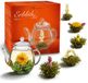 Creano Theebloemenmix - Cadeauset "ErblühTee" met Glazen Pot Witte Thee (6 Verschillende Soorten)