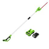 Greenworks G24PH51K2 Accu Heggenschaar