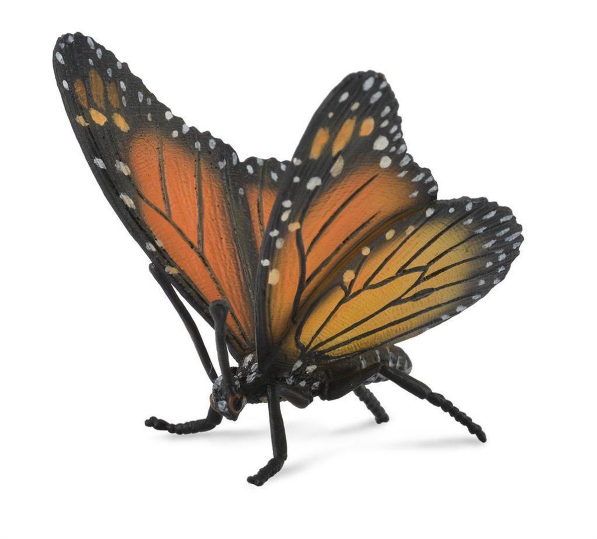 Collecta Motyl Królewski - Hout - Multi - 2021