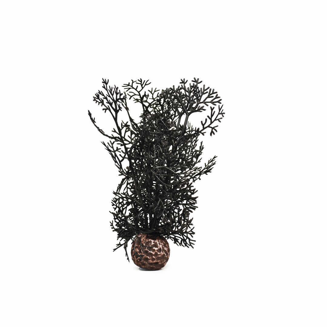 biOrb hoornkoraal zwart - klein