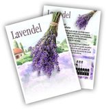 Sluis garden Bol Cadeau premium Lavendel (100 zakjes)