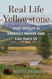 Real Life Yellowstone: What Wildlife in America's Premier Park Can Teach Us