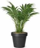 Mega Collections Plantenpot - Kunststof - Zwart - Buiten - D35 x H31 cm