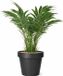 Mega Collections Plantenpot - Kunststof - Zwart - Buiten - D35 x H31 cm