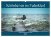 Calvendo Schönheiten im Federkleid - Heimische Wildvögel im Portrait (Wandkalender 2027 DIN A2 quer)