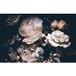 Pivoines Papier Peint Panoramique - 260 cm x 174 cm