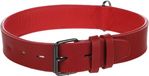 Denver Flamingo Denver Gevoerd Halsband Rood XXL