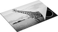 Chefcare Inductie Beschermer Giraffe in het Veld - Zwart Wit - 75x50 cm
