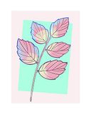 Disney Komar Disney muurschildering van Komar | Cinderella Plant | kinderkamer, babykamer, decoratie, kunstdruk | grootte 40x50cm (breedte x hoogte) | zonder lijst | WB017-40x50