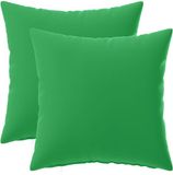 vidaXL - Coussin - HEERLEN - 2 pièces - Vert - Polyester