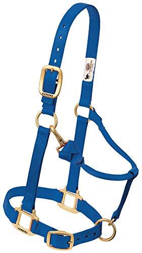 Weaver Leather Weaver Leather Nylon Verstelbare Draft Horse Halter, 1", Gemiddeld, Blauw