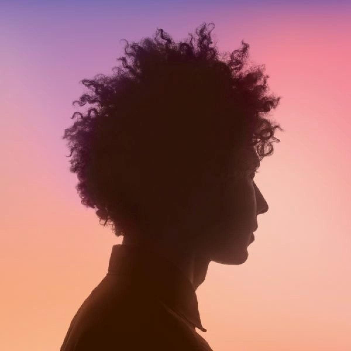 PIAS Nederland Témé Tan (LP)