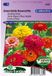 Sluis Garden Zinnia Dahlia-Bloemige Mix Bloemzaad - Kleurenmix - 100 stuks