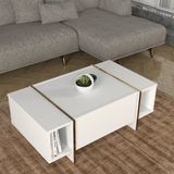 en.casa Salontafel Tavak wit en goudkleurig 104x60x38 cm