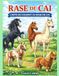 RASE DE CAI - Carte de Colorat cu Rase de Cai: Carte de Colorat pentru copii de 2- 7 ani