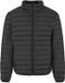 New Morning Studios Light Puffer Jacket NM031 - Black - XL