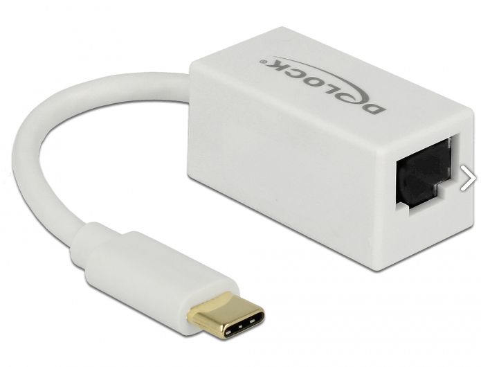 Delock USB-C naar RJ45 Gigabit Ethernet LAN adapter - Wit