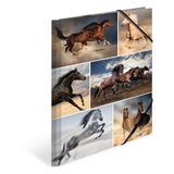 HERMA 19209 Verzamelmappen A4 dieren paarden, 3 stuks, kinderhoekspanner-mappen van karton met interne druk en elastiek, stevige kartonnen omslagmappen voor jongens en meisjes