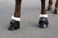 Covalliero KERBL Teddy Fleece beschermende klokken voor paarden, COB, zwart, 1 stuk