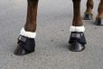 Covalliero KERBL Teddy Fleece beschermende klokken voor paarden, COB, zwart, 1 stuk