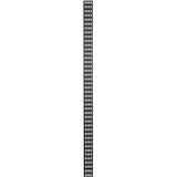 DSIT 42U verticale kabelgoot - 10 cm breed