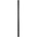 DSIT 42U verticale kabelgoot - 10 cm breed