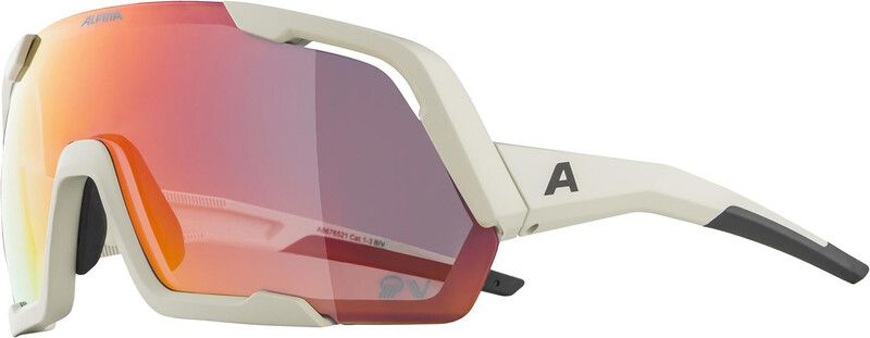 Alpina Rocket QV Goggles, Grey