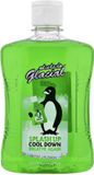 Alcolado Glacial Mentholated Splash Lotion - 500ml