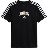 adidas Collegiate Graphic T-shirt Kind