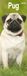 Pug Slim Mopshond Slimline Kalender 2027