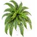 Dimhaut Fougère De Boston 34 Feuilles D 75 Cm Artificielle En Piquet - H 75 Cm - Vert