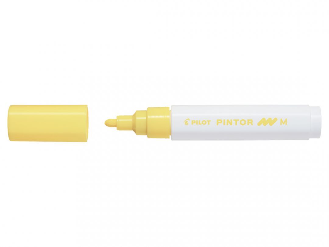 Pilot Pintor