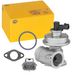 HELLA 6NU 010 171-251 EGR-klep - Electrisch-pneumatisch - 3-polig - Met pakkingen
