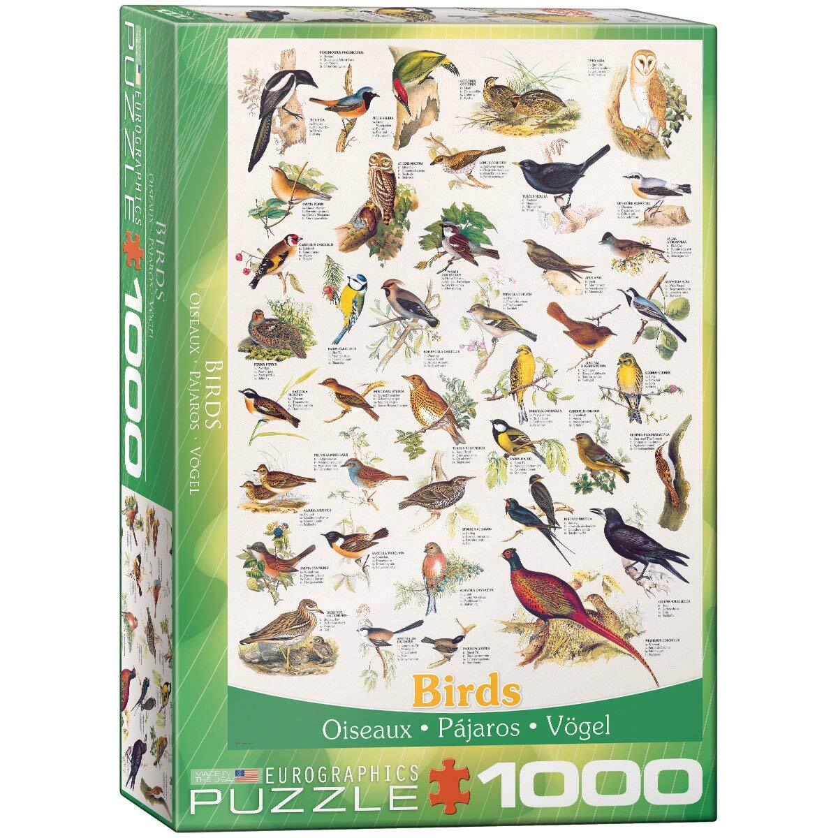 Eurographics Birds Puzzel (1000 stukjes)