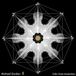 Outhere Cello Octet Amsterdam - 8 (CD)