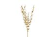 Countryfield eucalyptus en soie 85cm or