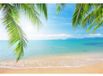 Photographie Fond - Été Tropical Plage - 7x5ft