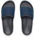 Reef Tail Sandales Bleu, Gris EU 40 Homme