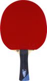 Tibhar Tafeltennisbatje Master Felix Lebrun