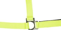 HKM Halster -Stars Softice- neongroen Pony