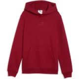 Puma Junior Hoodie Ess Small No.1 Logo