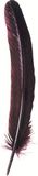 Jacques Herbin 23126T - Ganzenveer 28 cm bordeaux x 10