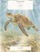 Ocean Life in Bloom: A Guided Watercolor Coloring Book