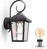 Philips Hue Buzzard Wandlamp voor Buiten (Zwart)