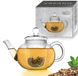 Creano Glazen Theepot 1,2L