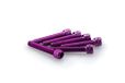 Puig 0346L schroeven, M6, 35 mm, violet, 6 stuks
