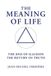 The Meaning Of Life: The End Of Illusion – The Return Of Truth Paperback