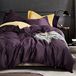 EAVD 3-delige beddengoedset voor queensize bedden, ultrazacht, 100% langstapelig katoen, paars beddengoed met 2 knopen, luxe, modern, effen, met ritssluiting (zonder dekbed)